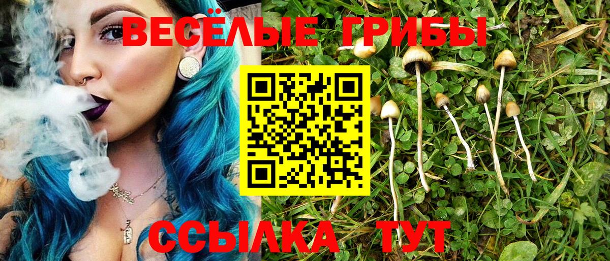 Псилоцибиновые грибы Psilocybe  Галлюциногенные грибы прущие грибы  Коломна  Вход с VPN 